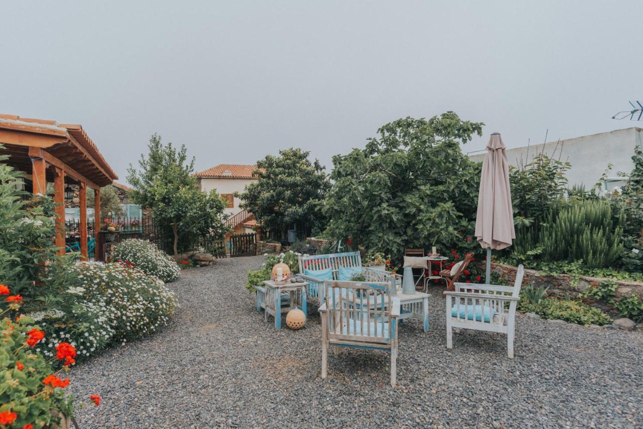 Casa Jacinta Con Jacuzzi Pensionat Costa Adeje  Eksteriør billede